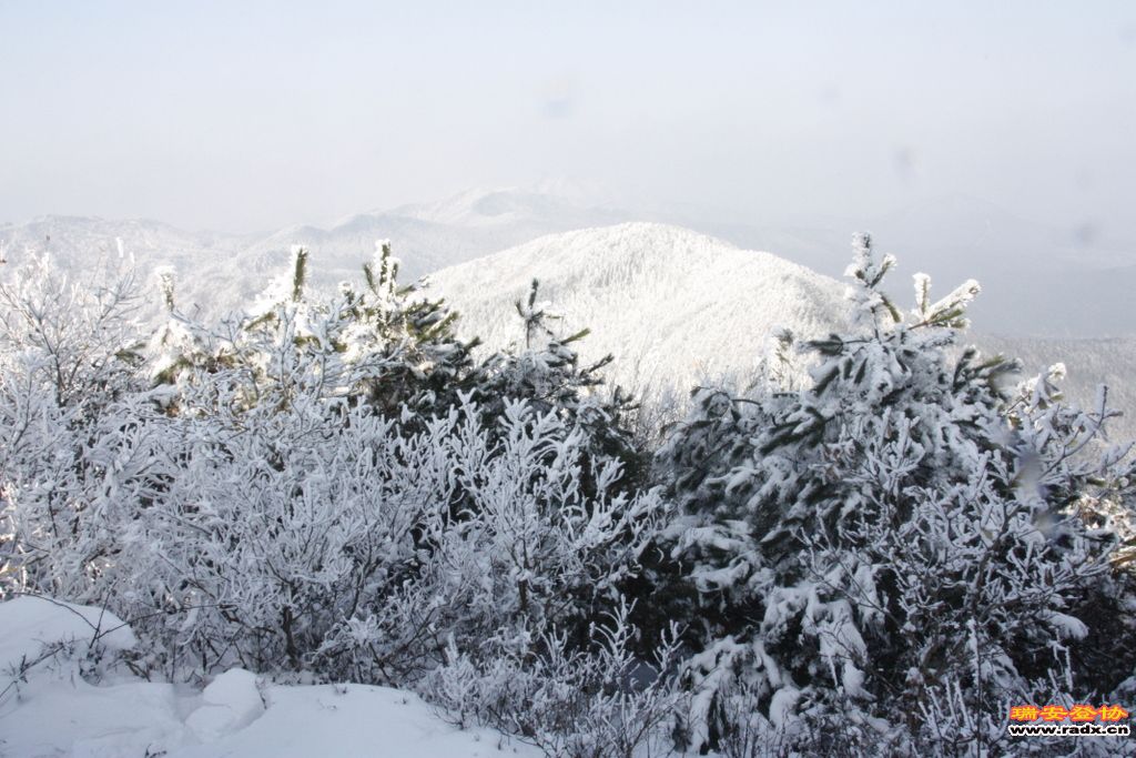 _MG_2802.JPG