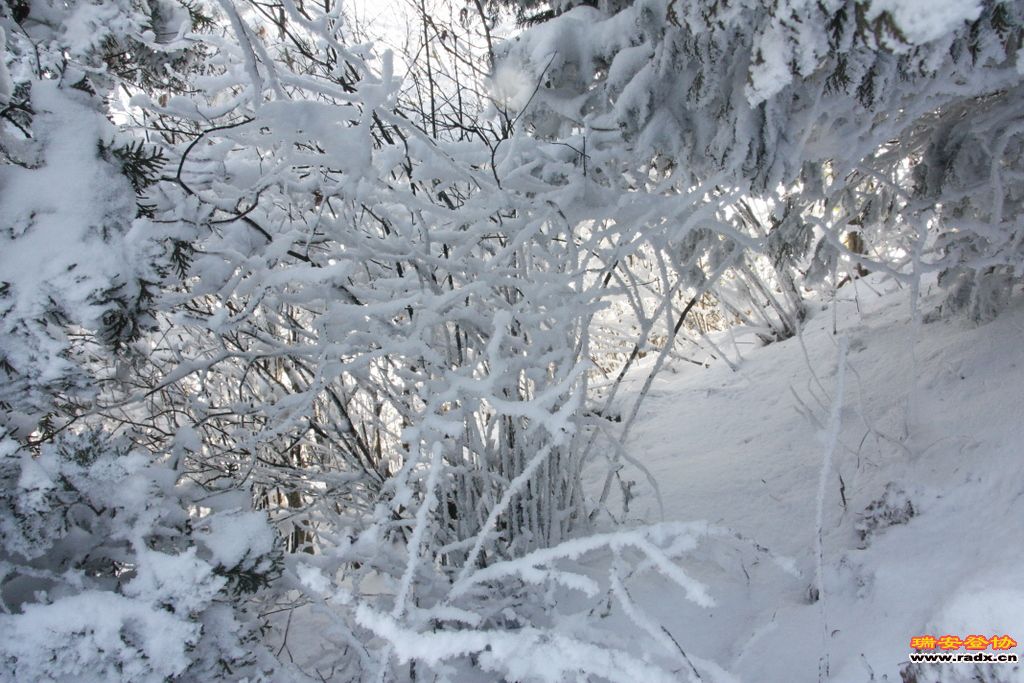 _MG_2808.JPG