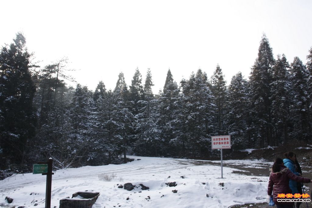 _MG_2841.JPG