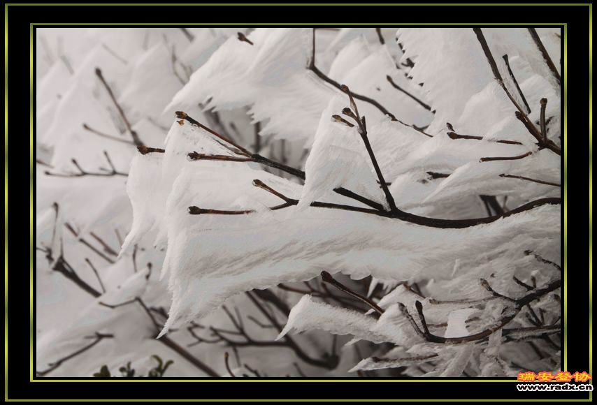nEO_IMG_IMG_0149.jpg