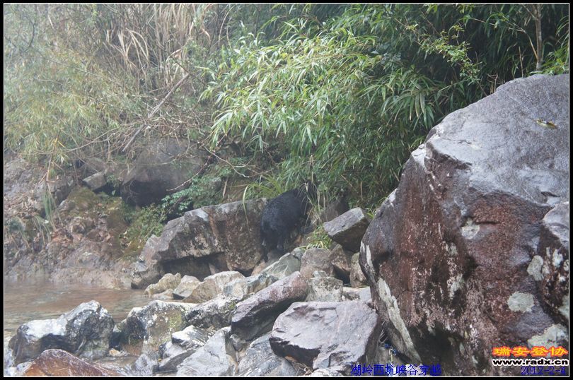 湖岭西坑峡谷穿越－116.jpg
