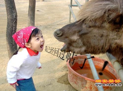 已经回贴了.jpg